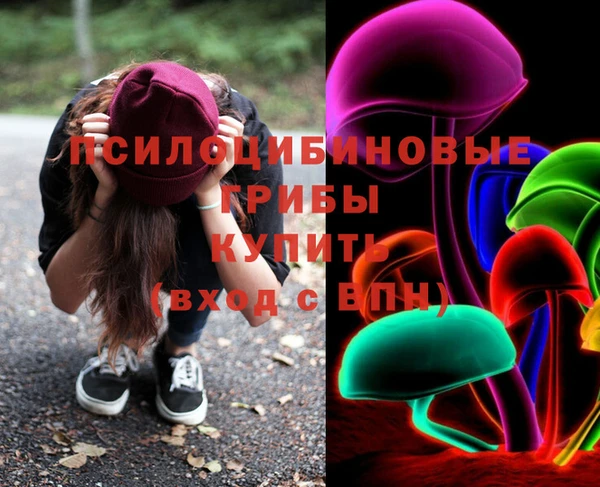 крисы Алзамай