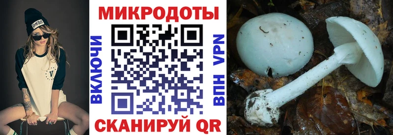 kraken ссылки  Солигалич  Галлюциногенные грибы ЛСД 